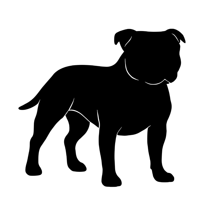 Staffordshire Bull Terrier – Enkelmotiv Dekal