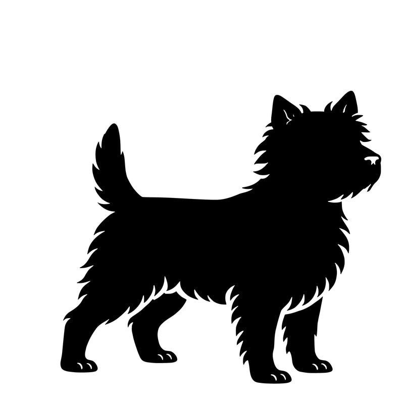 Cairn terrier – Enkelmotiv Dekal