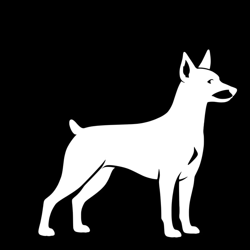 Dvärgpinscher – Enkelmotiv Dekal