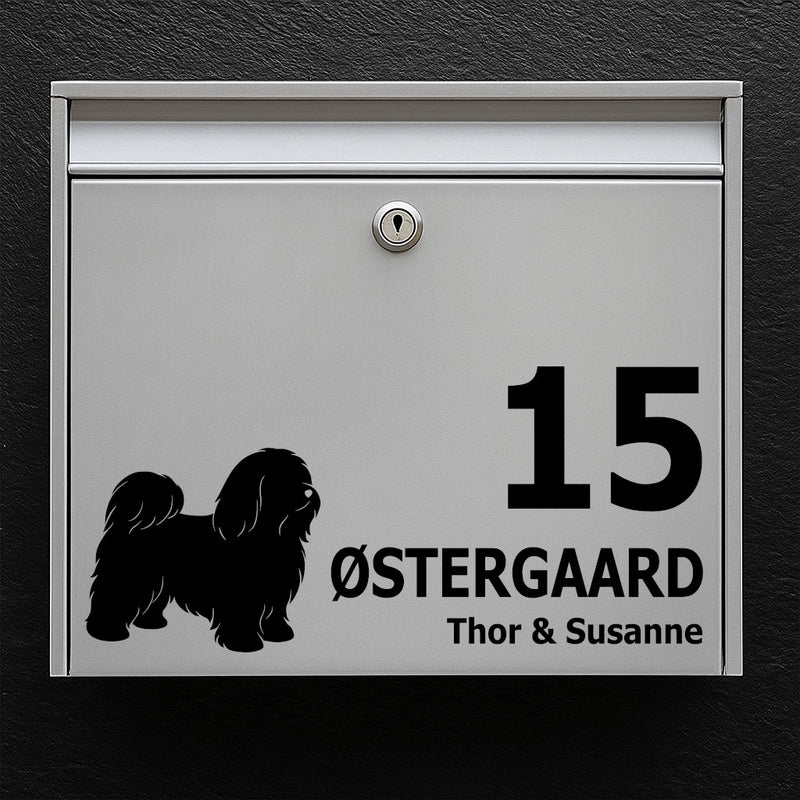 Brevlådedekal med bichon havanaise