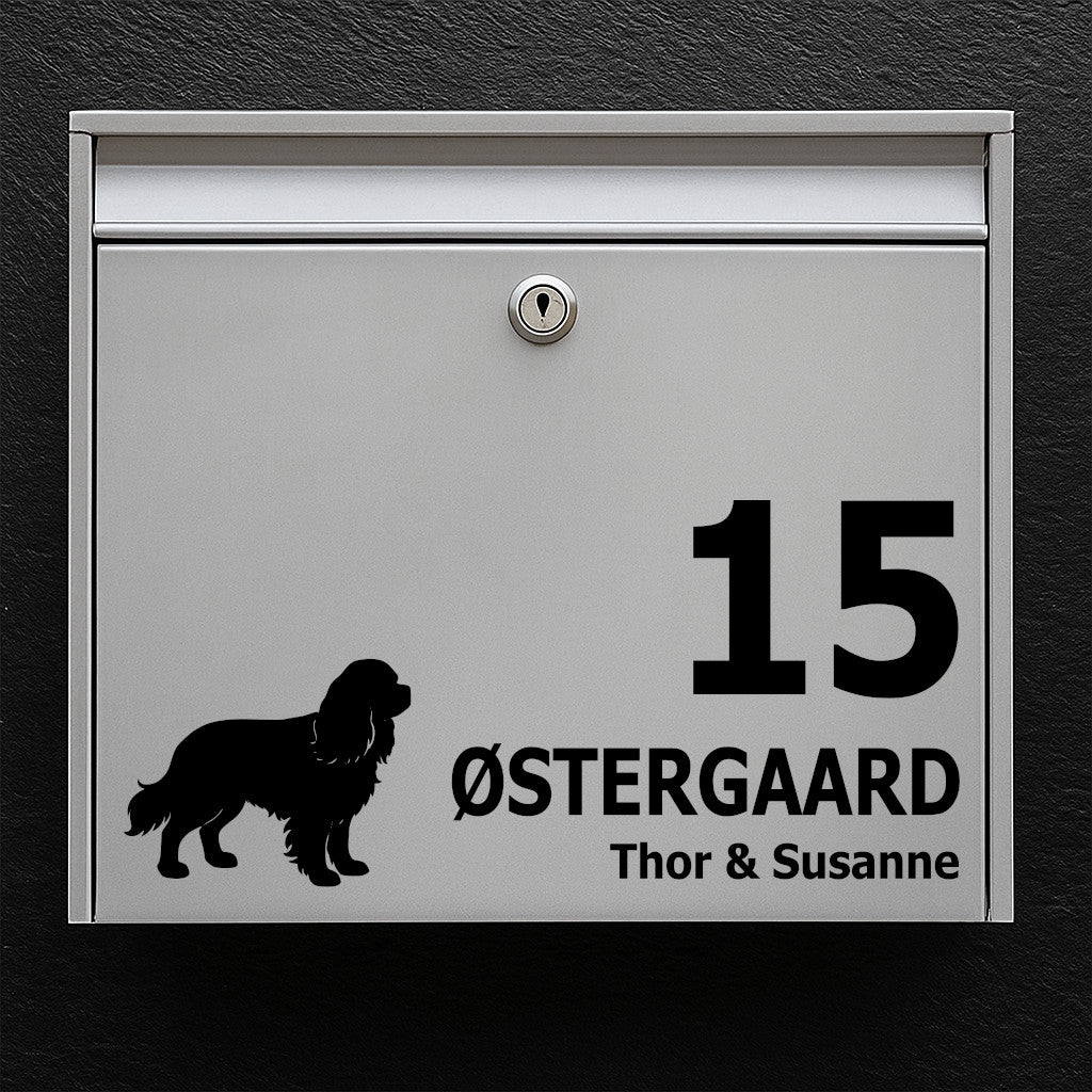 Brevlådeklistermärke med Cavalier King Charles Spaniel