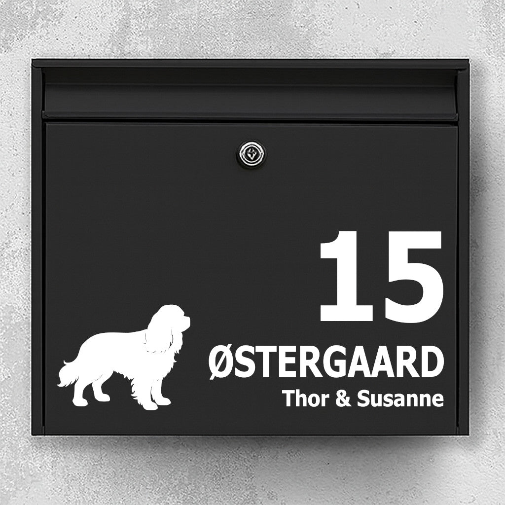 Brevlådeklistermärke med Cavalier King Charles Spaniel
