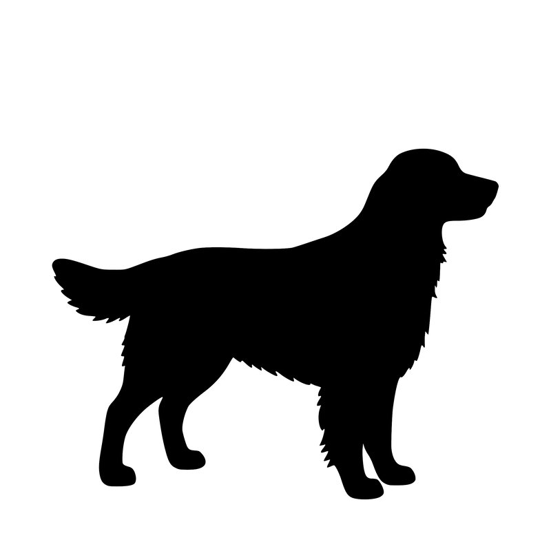 Golden Retriever – Enkelmotiv Dekal