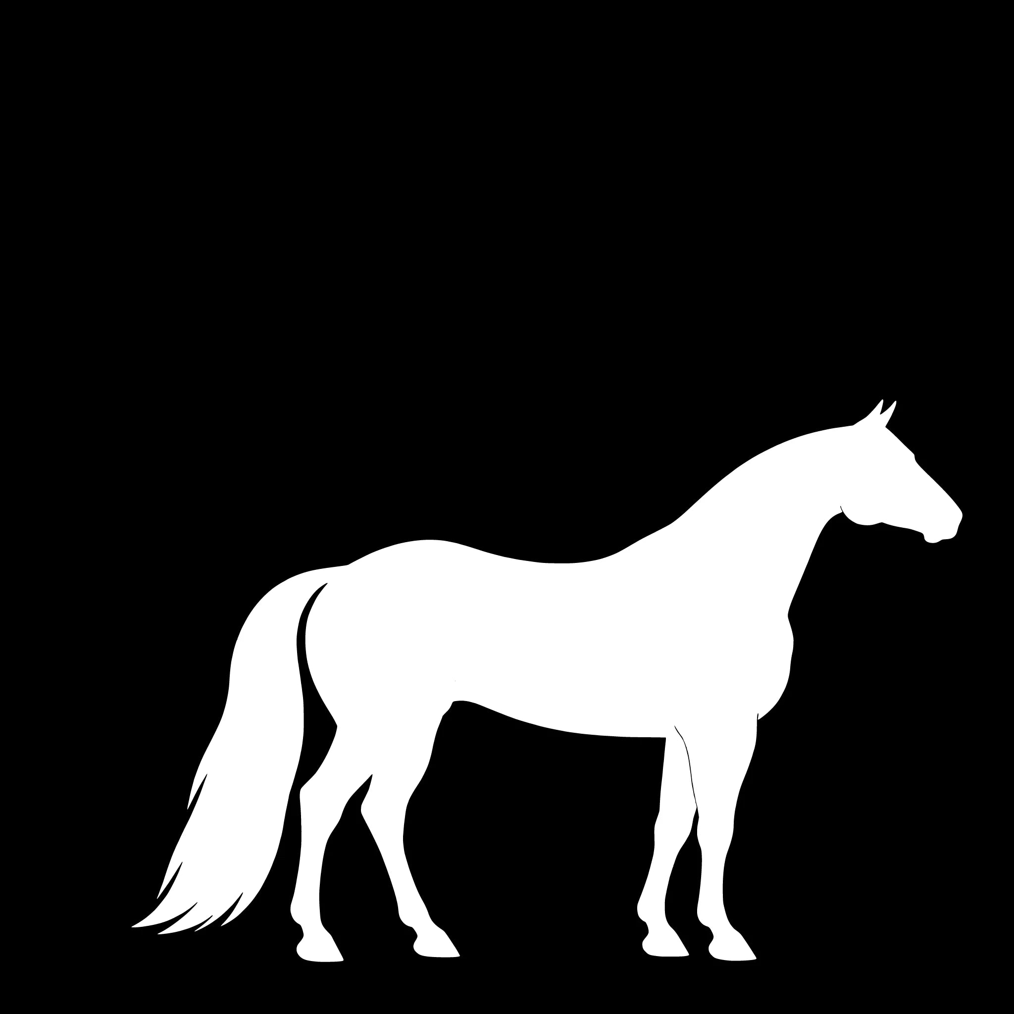 American Quarter Horse – Enkelmotiv Dekal