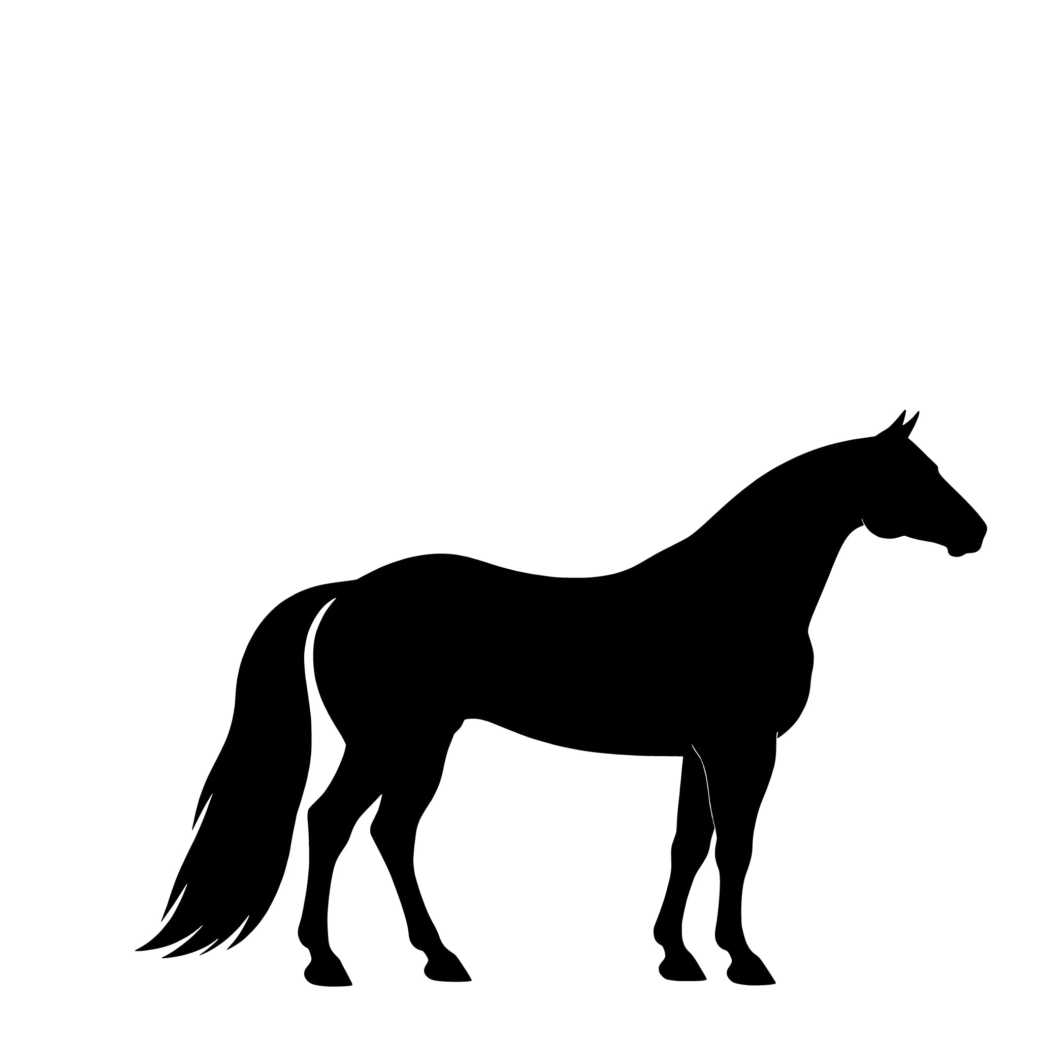 American Quarter Horse – Enkelmotiv Dekal