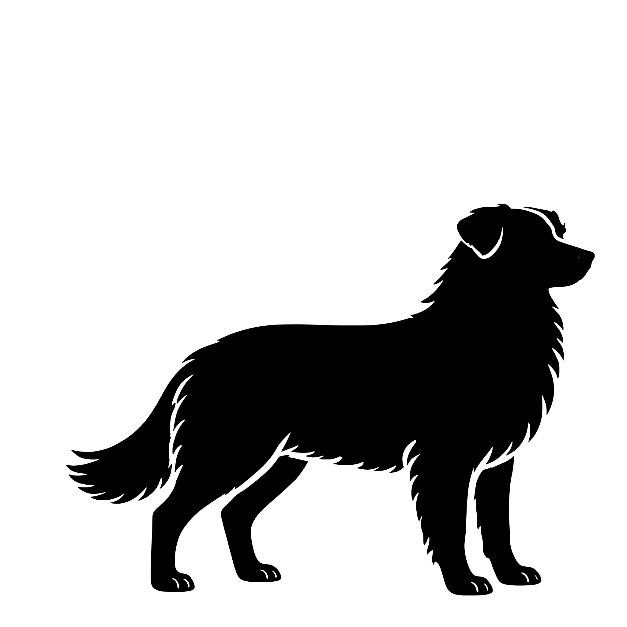 Australian Shepherd – Enkelmotiv Dekal