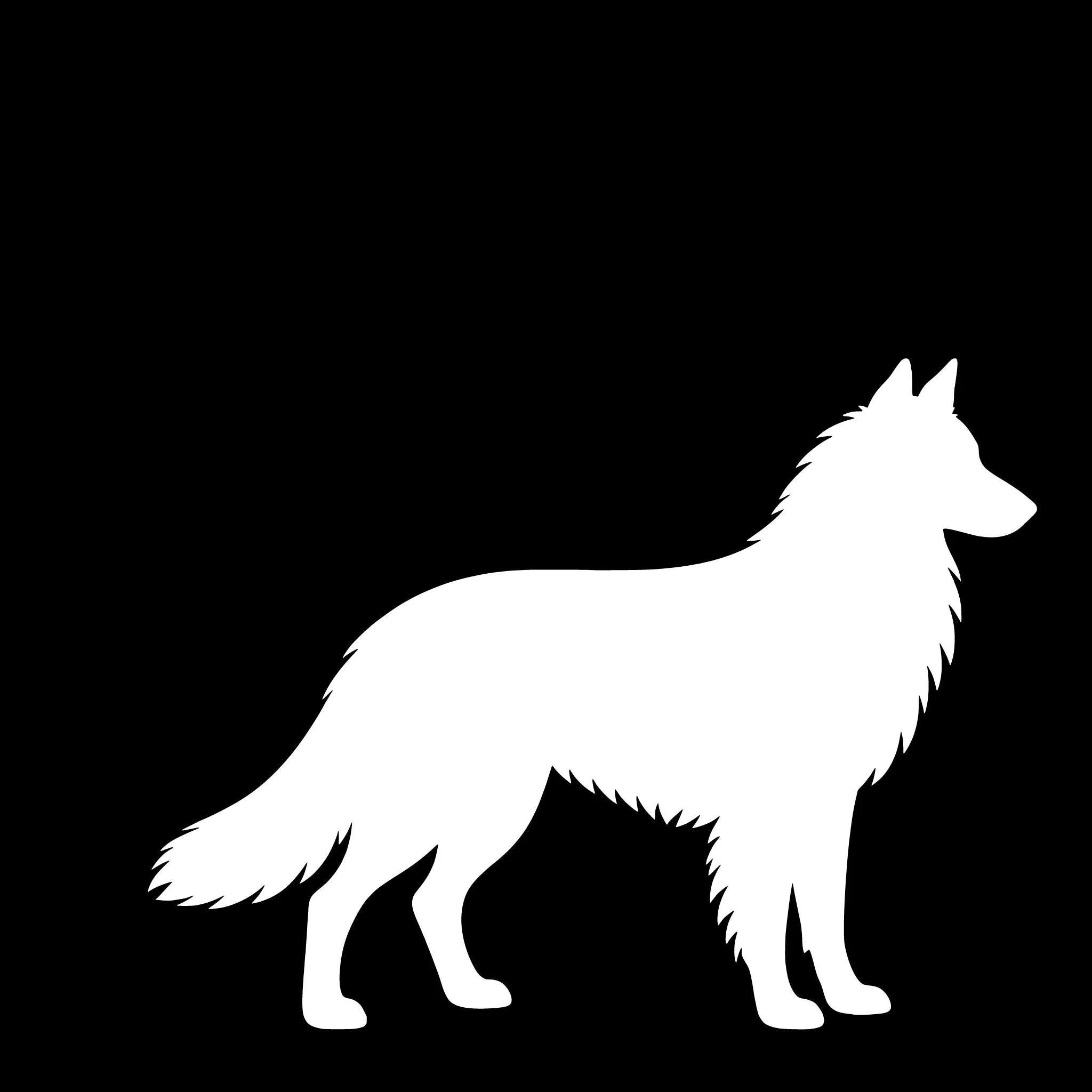 Belgisk Vallhund (Tervueren) – Enkelmotiv Dekal