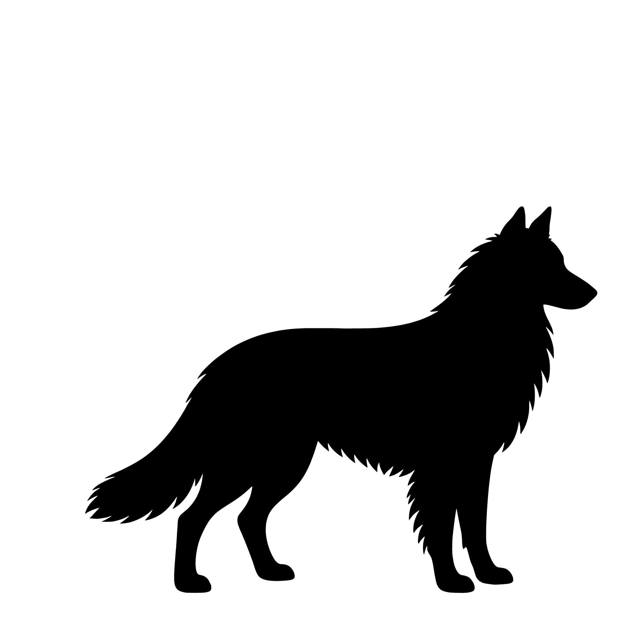 Belgisk Vallhund (Tervueren) – Enkelmotiv Dekal