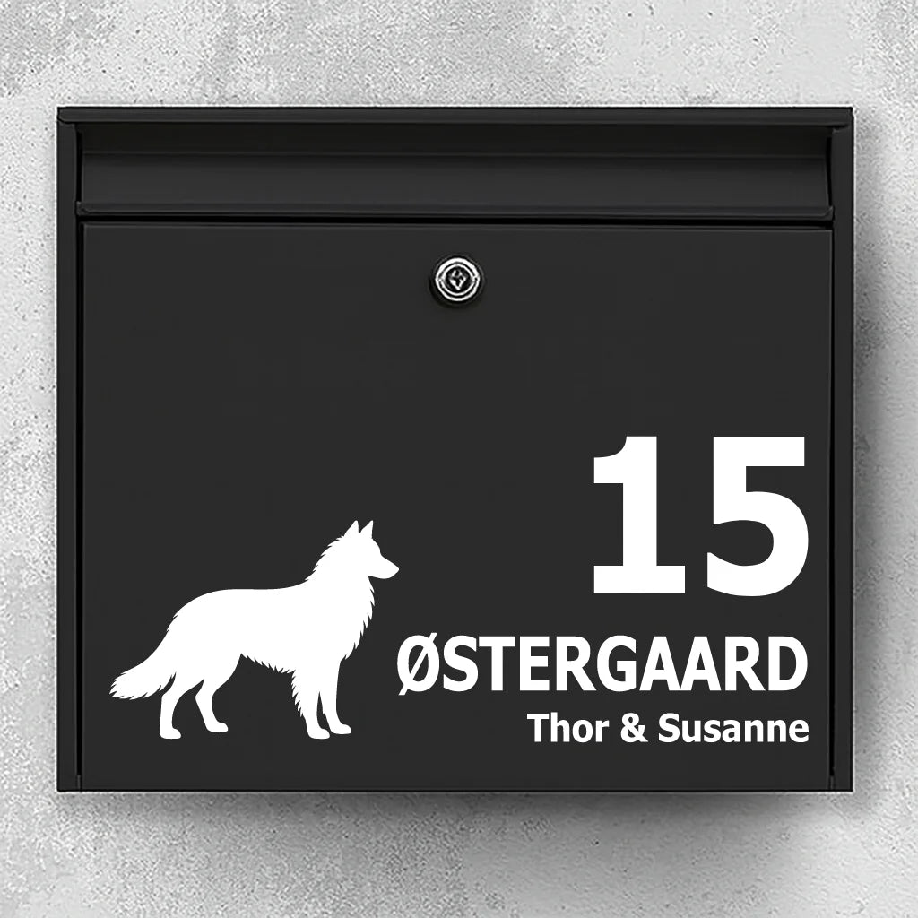 Brevlådeklistermärke med Belgisk vallhund (Tervueren)