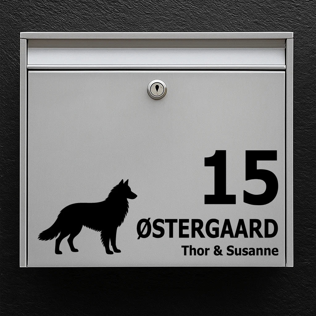 Brevlådeklistermärke med Belgisk vallhund (Tervueren)