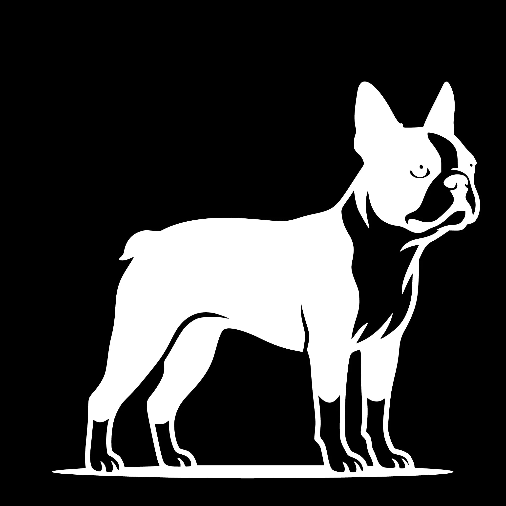 Boston Terrier – Enkelmotiv Dekal