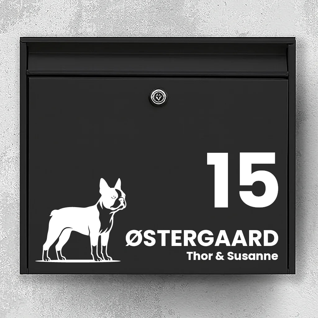 Brevlådeklistermärke med Boston Terrier