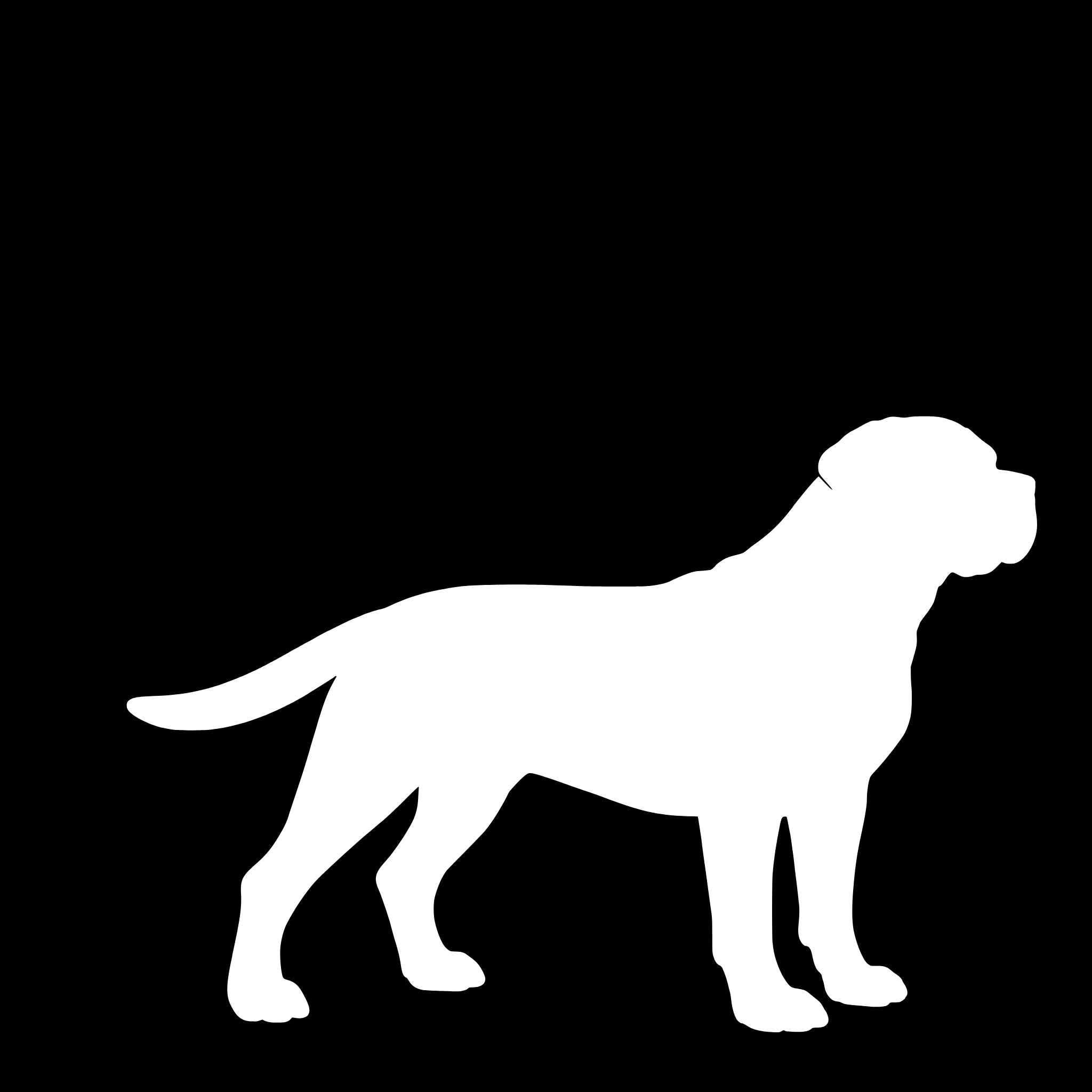 Cane Corso – Enkelmotiv Dekal