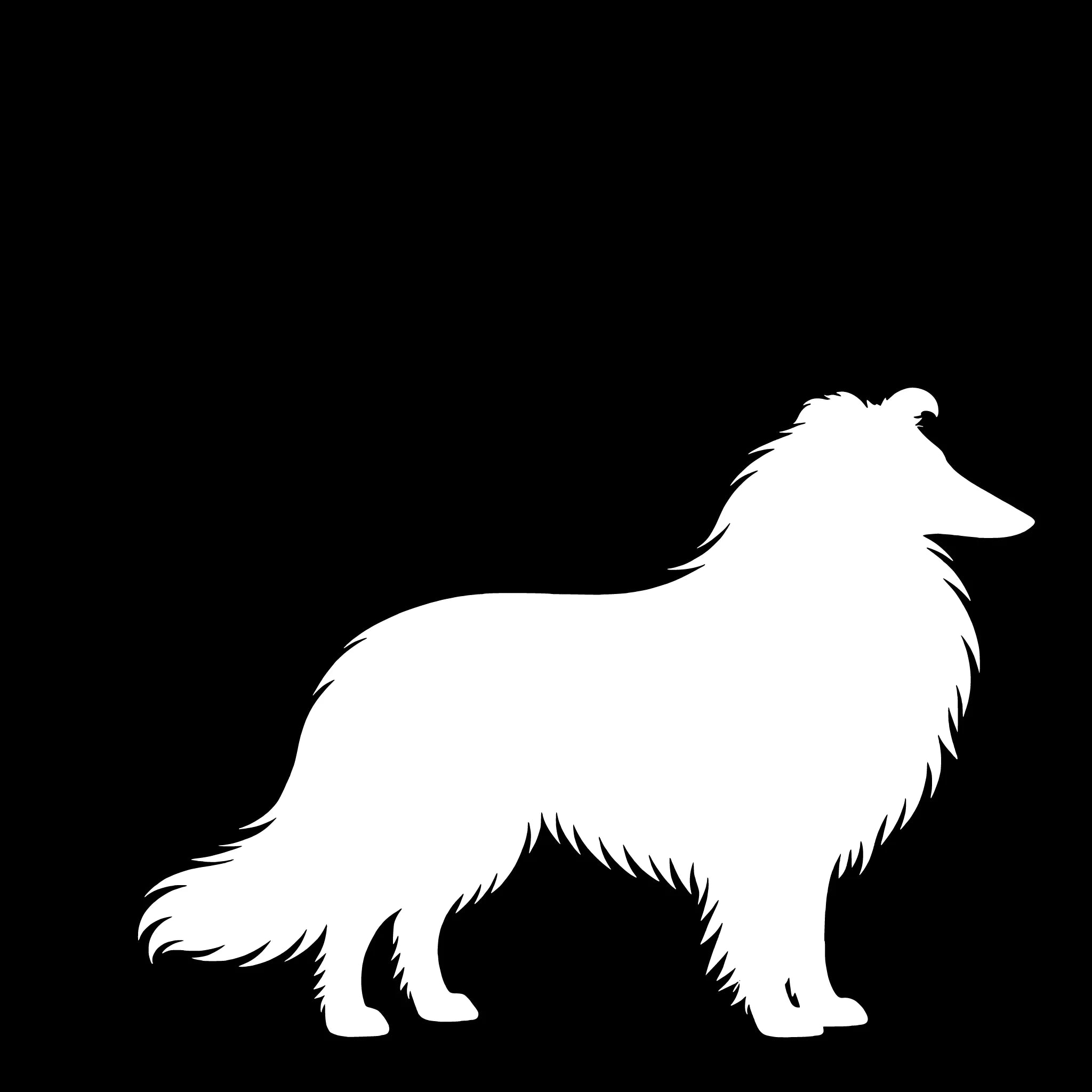 Långhårig Collie – Enkelmotiv Dekal