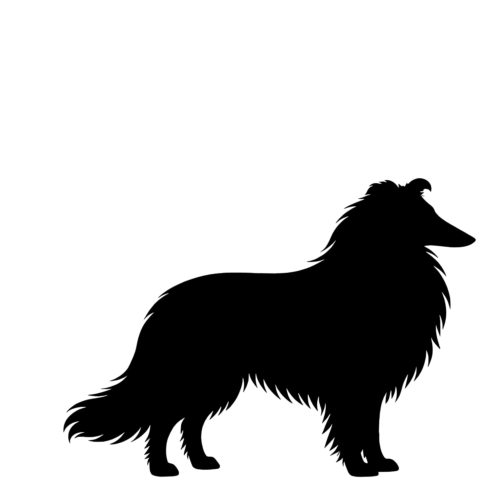 Långhårig Collie – Enkelmotiv Dekal