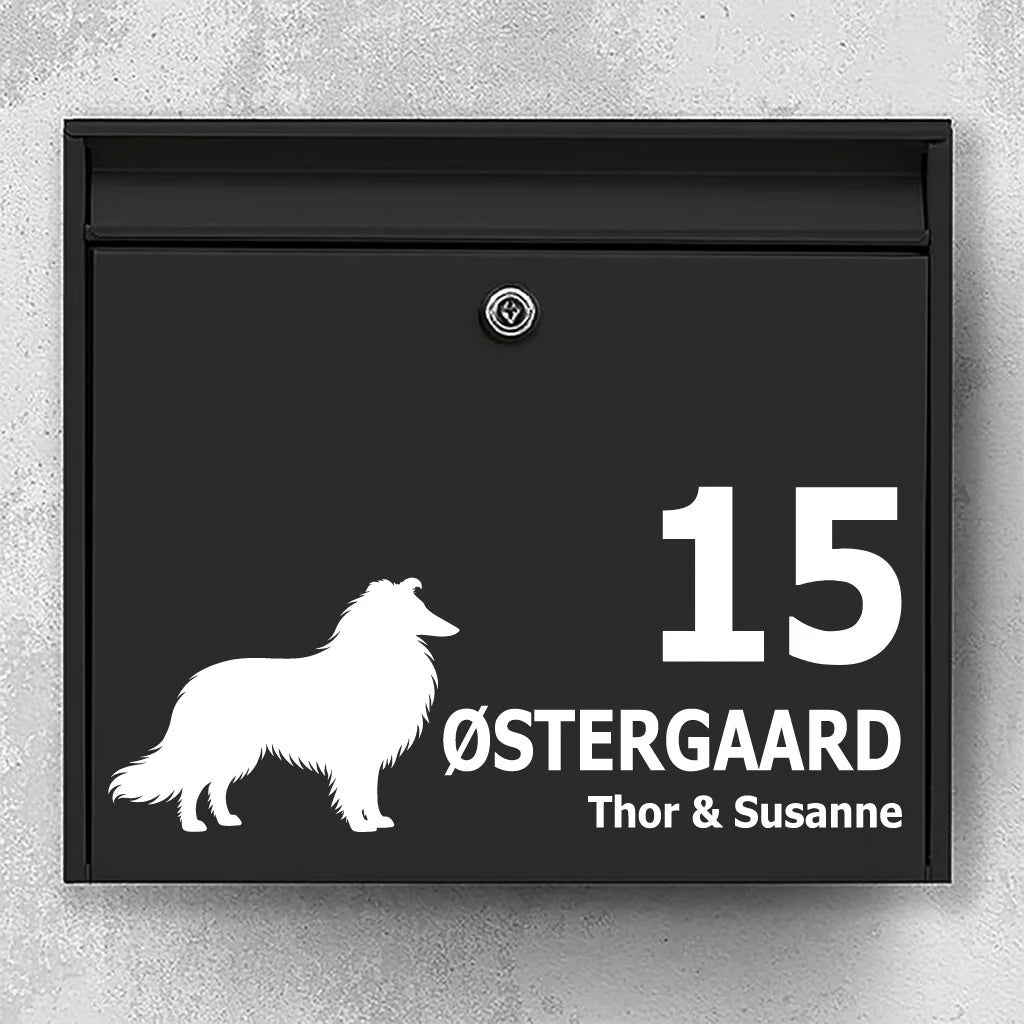 Brevlådeklistermärke med Långhårig collie