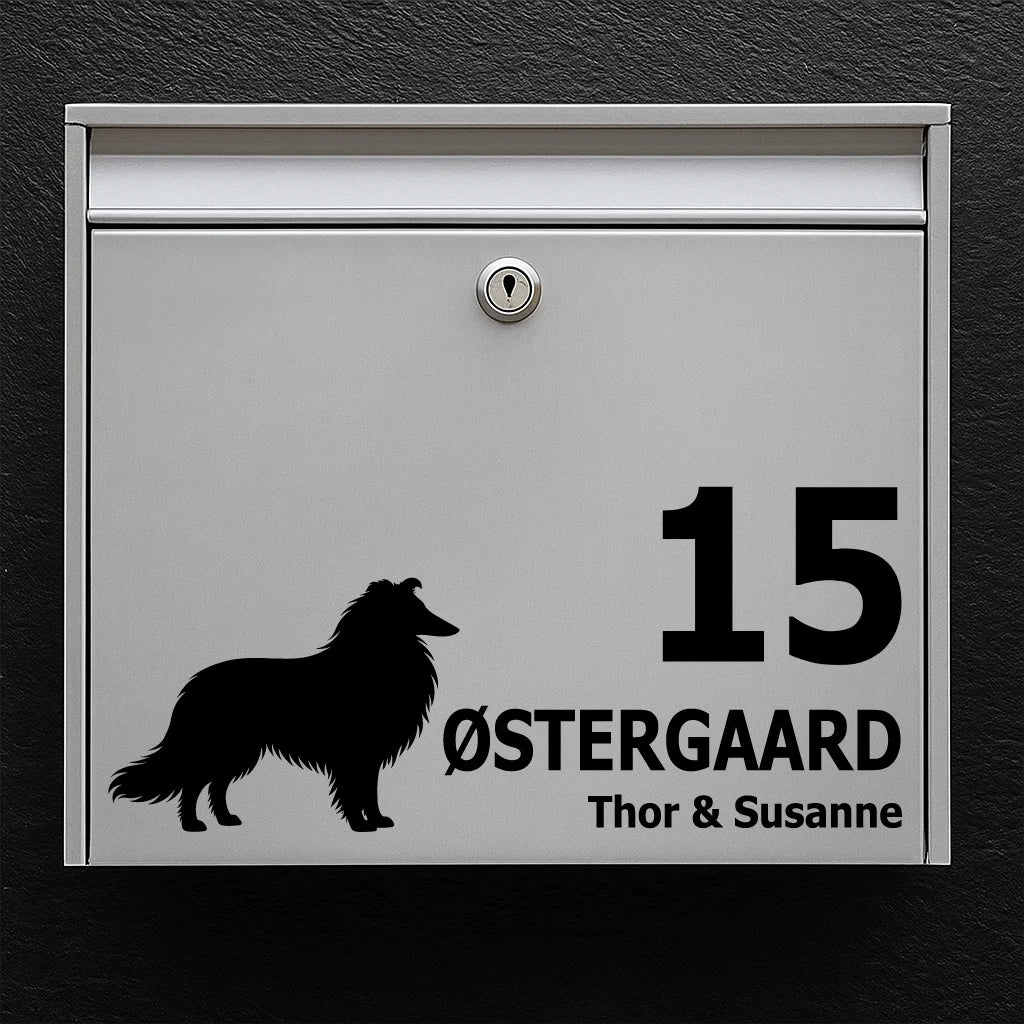 Brevlådeklistermärke med Långhårig collie