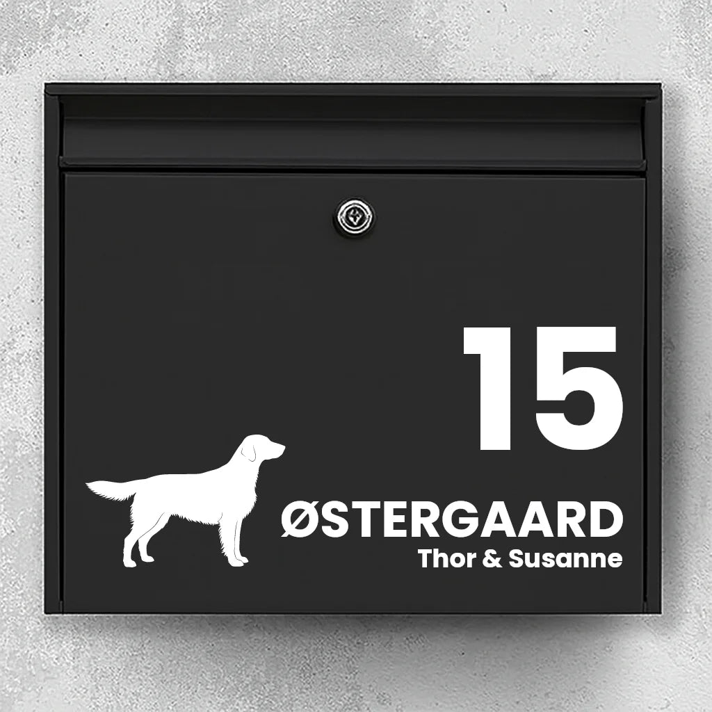 Brevlådeklistermärke med Flat Coated Retriever