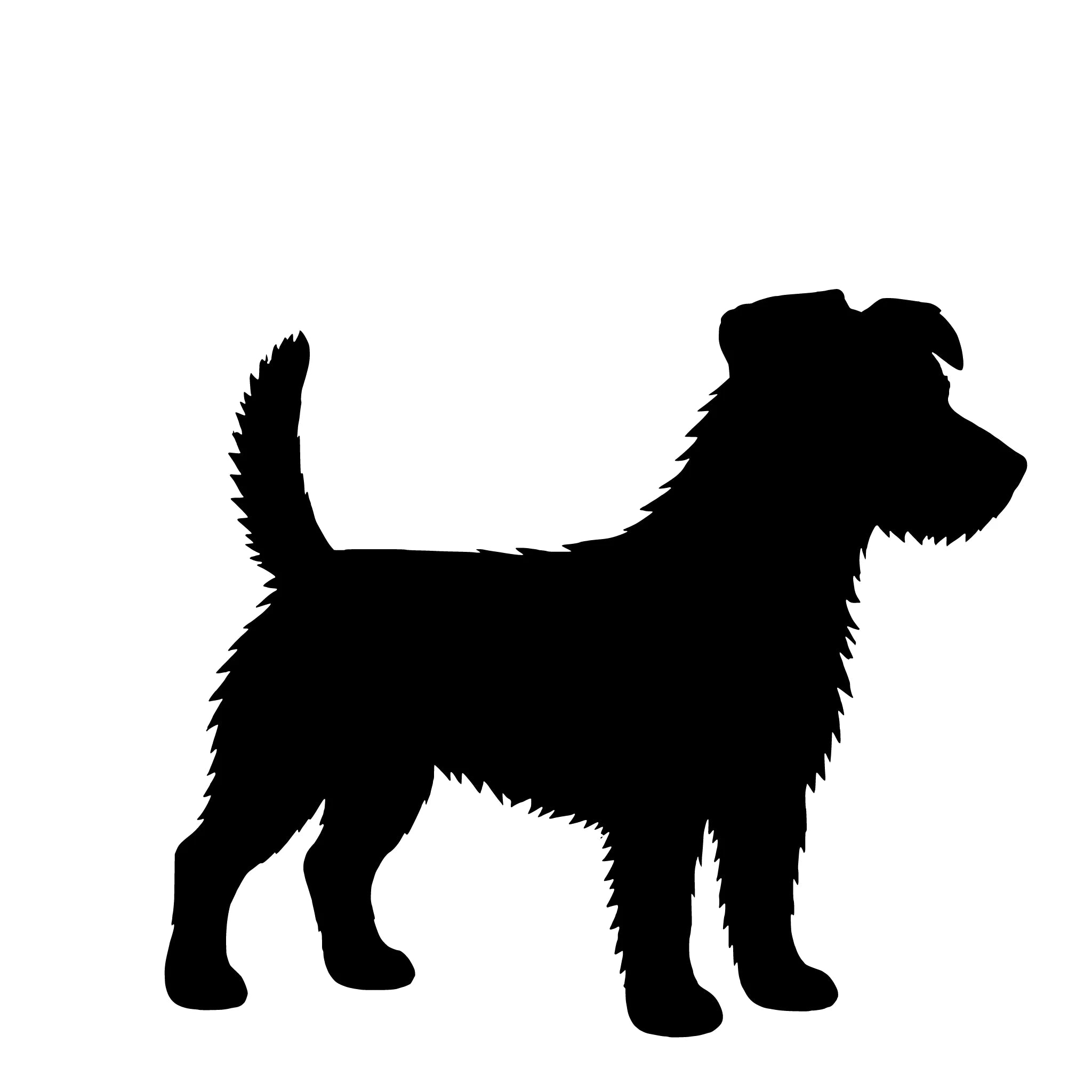 Jack Russell Terrier (strävhårig) – Enkelmotiv Dekal
