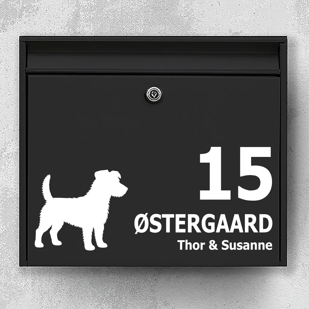 Brevlådeklistermärke med Strävhårig Jack Russell terrier
