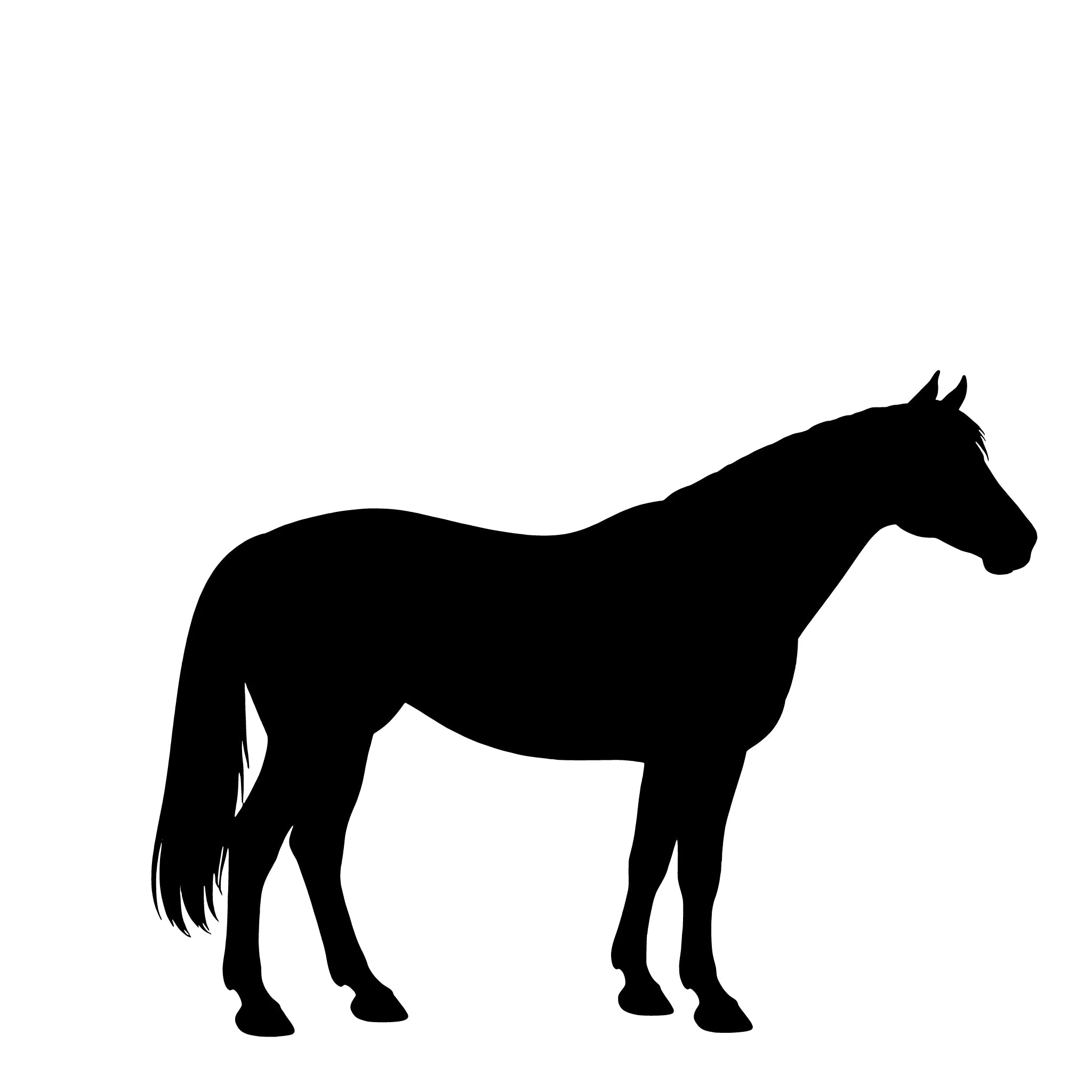 Pinto– Enkelmotiv Dekal
