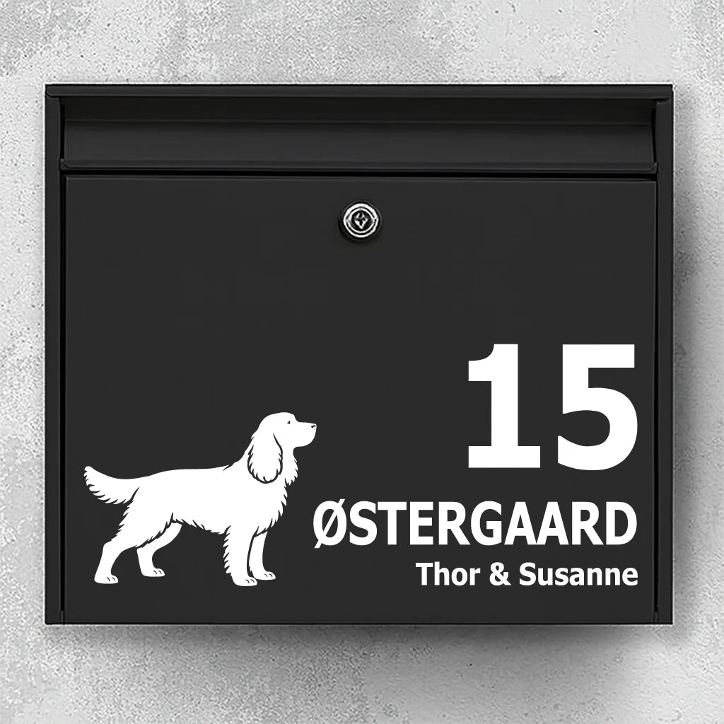 Brevlådeklistermärke med Springer spaniel