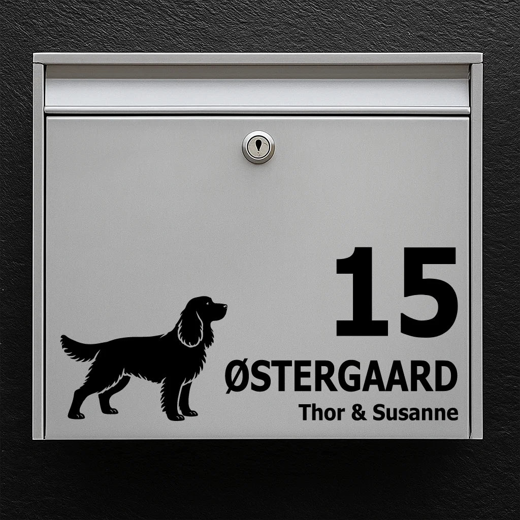Brevlådeklistermärke med Springer spaniel
