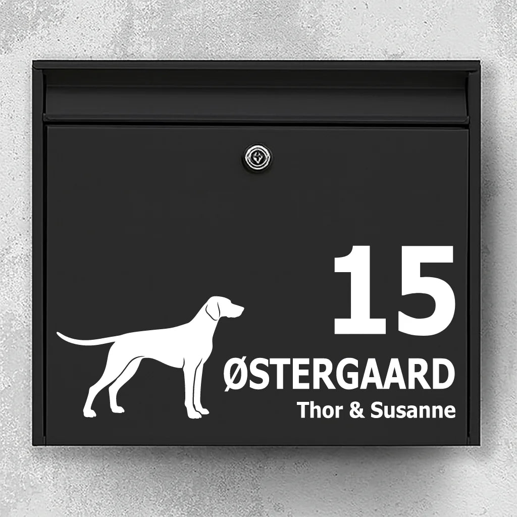 Brevlådeklistermärke med Tysk korthårig vorsteh