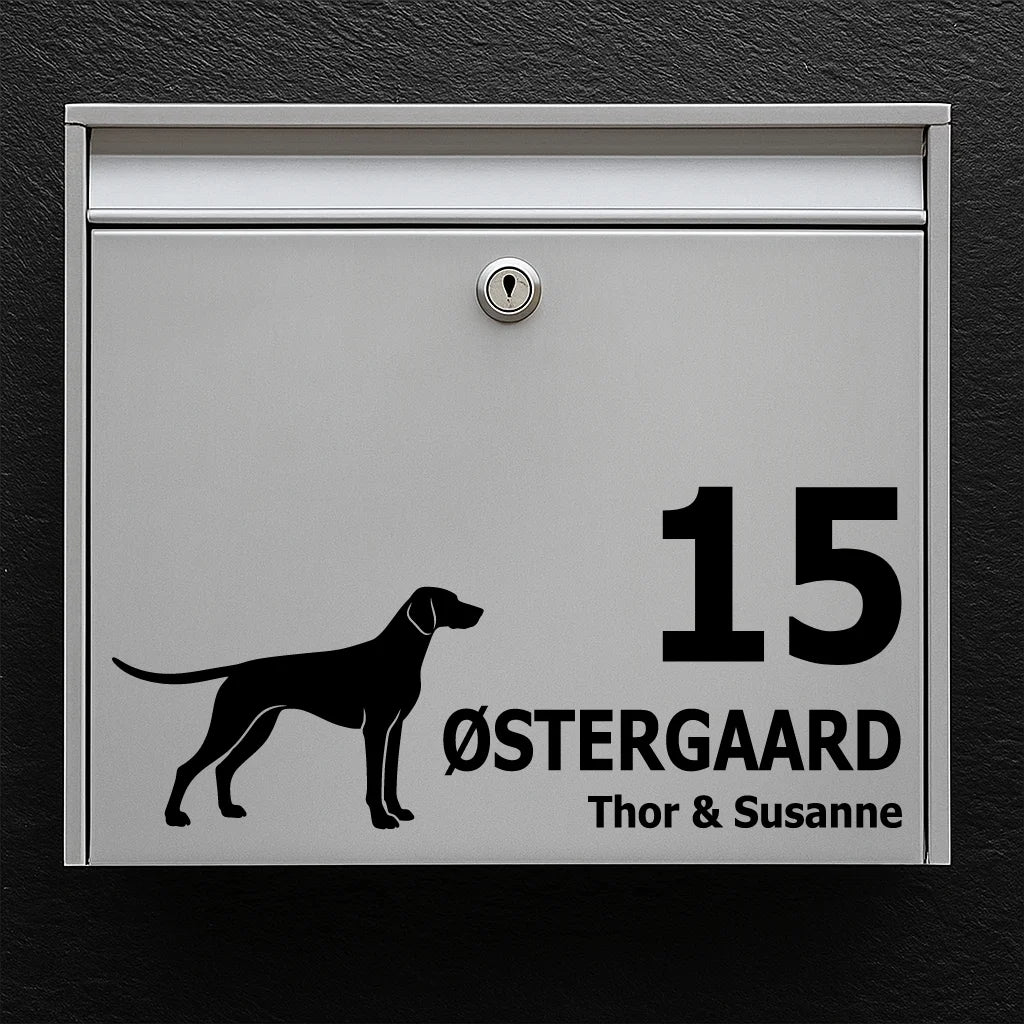 Brevlådeklistermärke med Tysk korthårig vorsteh